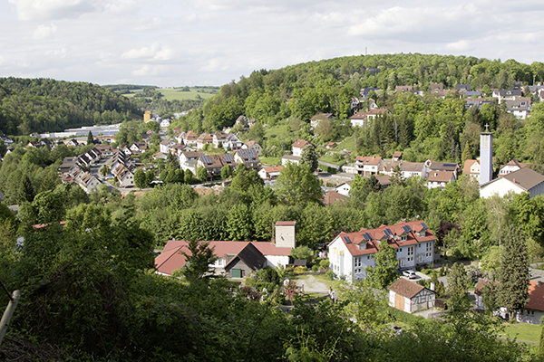 Häuser, Hecken und Büsche, Sicht nach Adelsheim rein