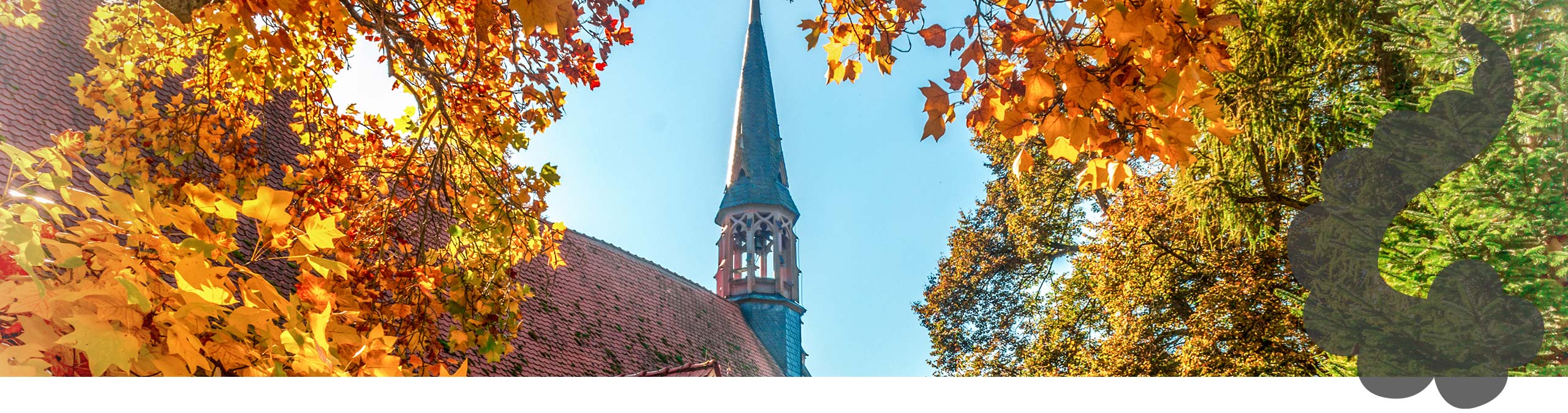 Jakobskirche Adelsheim – Stadt Adelsheim – Zukunft aus Tradition